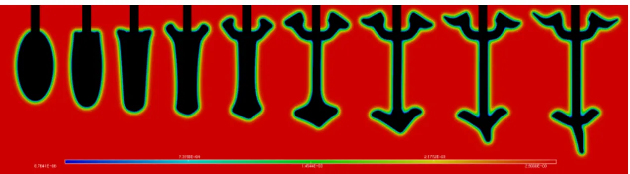 Figure 2.2 Snapshots of the domain and P concentration at different steps of the shape optimiza- optimiza-tion process