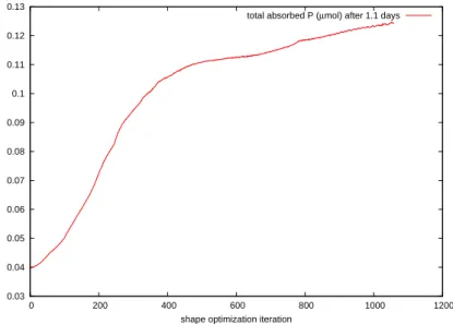 Figure 2.3 Evolution of the total amount of absorbed P during the optimization process