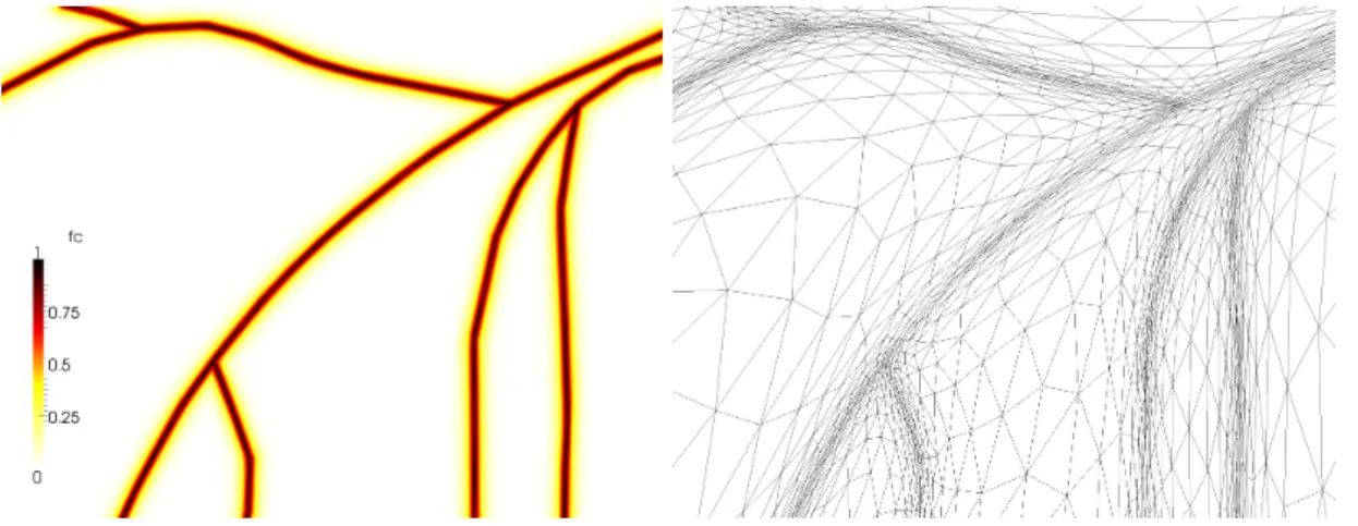 Fig. 3.4 illustrates the mesh adaptation process in a 2D simulation.
