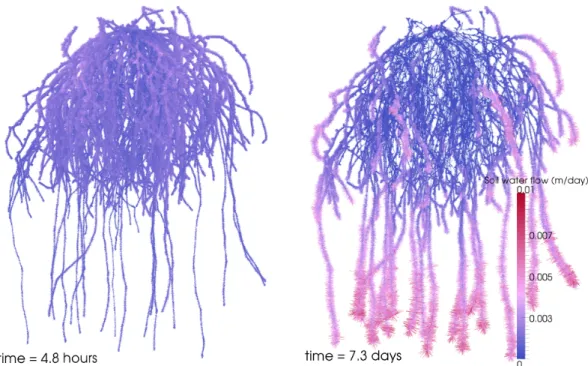 Fig. 3.7 shows high gradients developing in the vicinity of the roots as the soil dries.