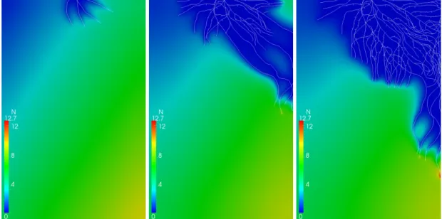 Fig. 3.8 depicts some results of such a simulation with the initial nitrate concentration set to a linear profile varying from 0 mol m −3 at the top left corner of the domain to 10