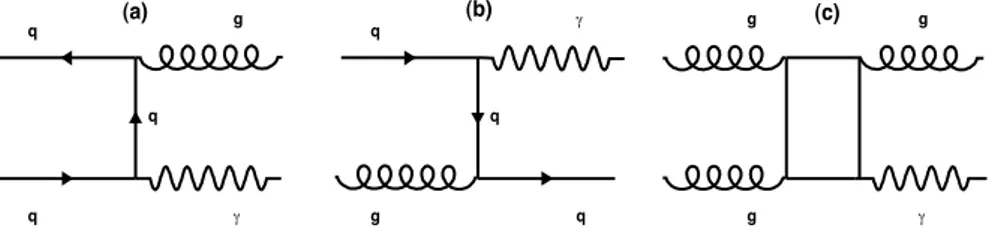 Figure 9.1(a-c). In terms of power counting in the strong interaction coupling α s , the tree level