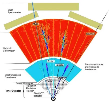 Figure 2.8: Sketch representative of different kind of particles passing through the ATLAS sub-detectors [72].