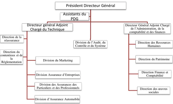 Figure N° 04 : Organisation de la SAA 