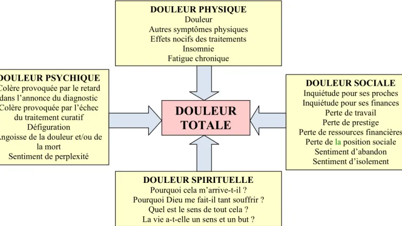 Figure 9 : Douleur totale (total pain) et ses aspects intercorrélés 