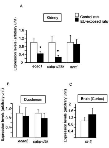 Figure 3. Effect of chronic EU ingestion on mRNA levels of Vitamin D target genes.