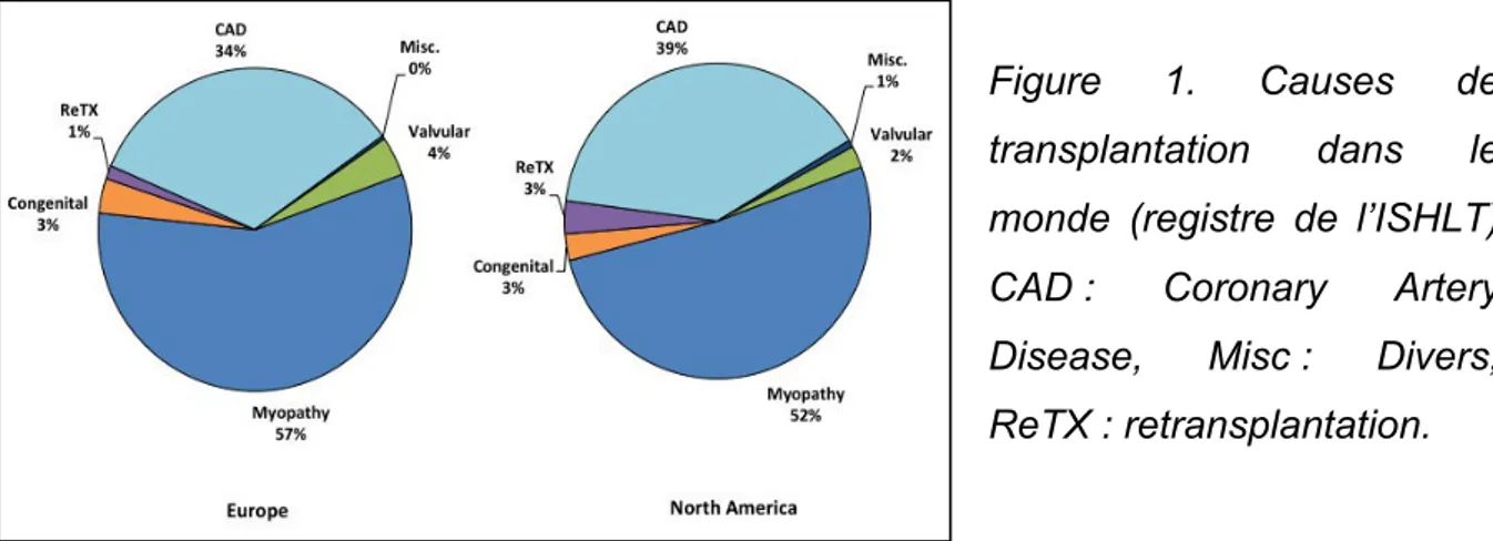 Figure  1.  Causes  de 