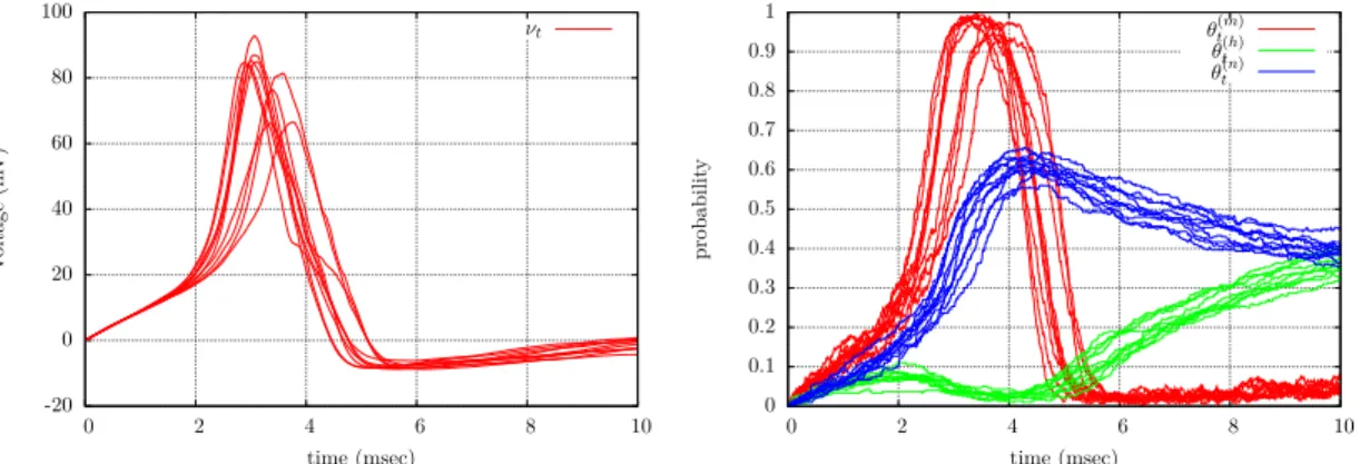 Figure 2 – 10 simulated trajectories of the membrane potential ν (left) and of the corresponding proportion of gates θ pmq ,θ phq and θ pnq (right) in the subunit model with a constant applied current Iptq “ 10, initial condition pν, θ pmq , θ phq , θ pnq