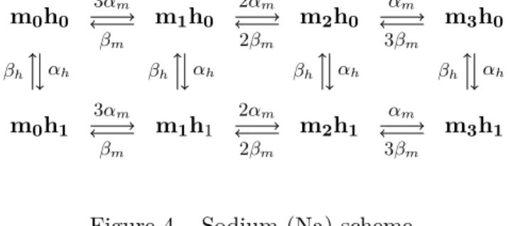 Figure 4 – Sodium (Na) scheme.