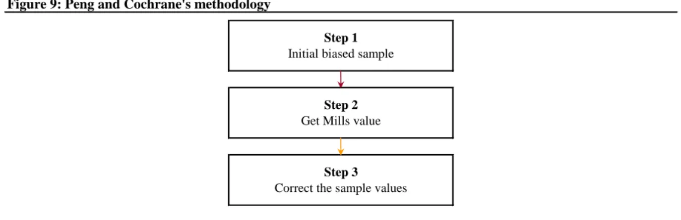 Figure 9: Peng and Cochrane's methodology