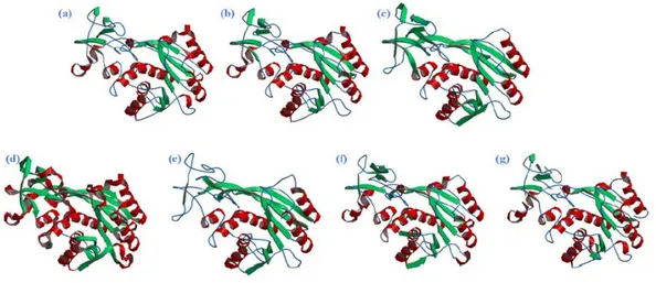 Figure 11. Exemples d'assignations de structures secondaires par différentes méthodes sur la  Méthyltransférase Hhai (code PDB 10MH)