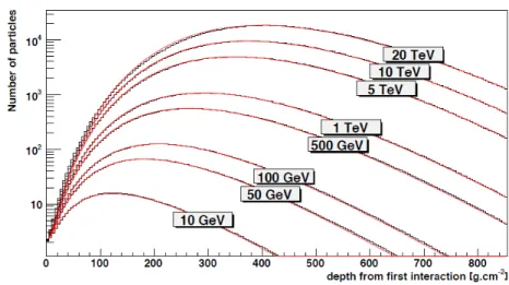 Figure 4.8 – Nombre de particules chargées développées longitudinalement dans des gerbes initiées par des rayons γ d’énergie différente