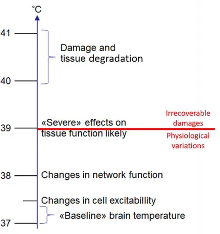 Figure  14:  Brain  tissue  responses  to  temperature  increases.  Alterations  severity  and  intensity  will  vary  with  temperature  increase