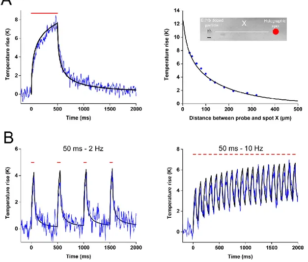 Figure 1: Validation of the thermal simulations through experimental luminescence recordings 