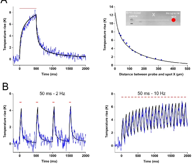 Figure 1: Validation of the thermal simulations through experimental luminescence recordings 