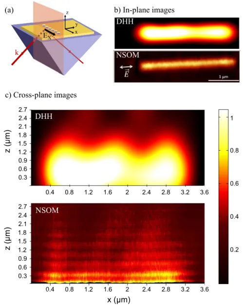 Figure 1.12: Resonant case. (a) Experimental configuration for the holographic far- far-field measurement of a 40 nm thick gold film (17 holes, 150 nm in diameter, separated by 20 nm) for an electric field polarization parallel to the axis of the antenna