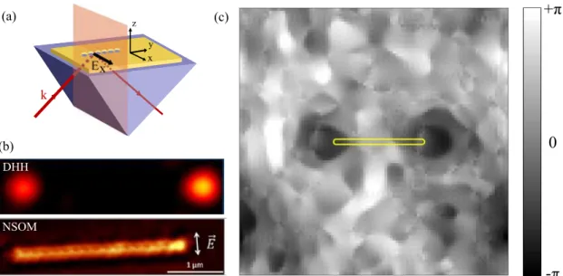 Figure 1.13: Non-resonant case.(a) Experimental configuration for the holographic far-field measurement of a 40 nm thick gold film (17 holes, 150 nm in diameter, separated by 20 nm) for an electric field polarization perpendicular to the axis of the antenn