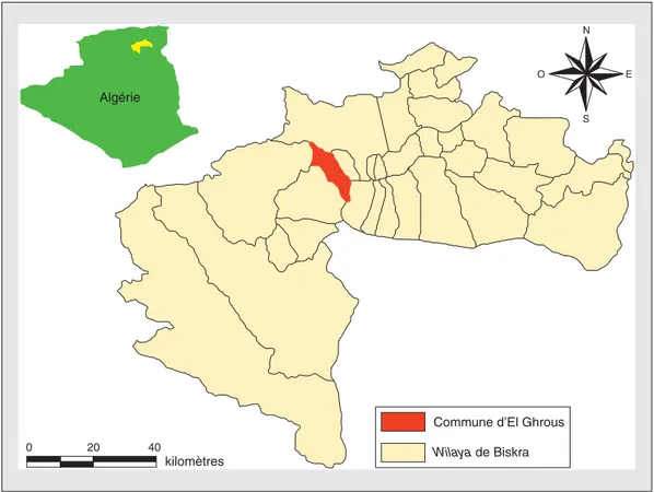 Figure 1. Localisation de la zone d'étude (El Ghrous-Biskra). Figure 1. Map of the study area (El Ghrous-Biskra).