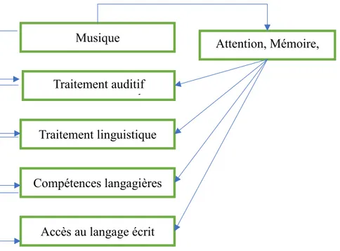 Figure 13 : Effet de l'entrainement musical sur les compétences en lecture (Habib et Commeiras,, 2014) (→ :  améliore).