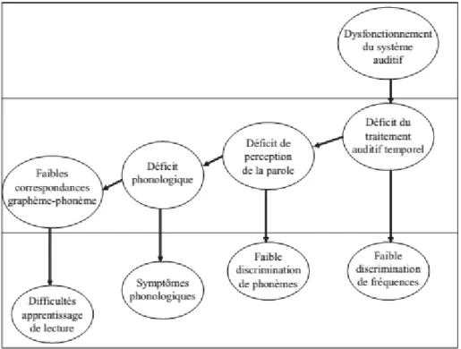 Figure 17 : Cadre général de la théorie du déficit temporel (Ecalle et al, 2007). 