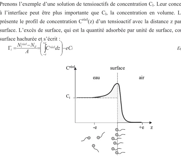 Figure I-3 : Profil de concentration de tensioactifs à une interface eau-air 