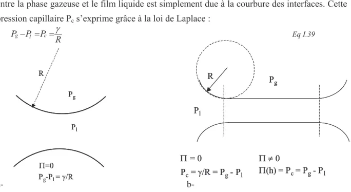 Figure I-12 : Pression capillaire et pression de disjonction dans un film mince (a) et un film épais (b) 