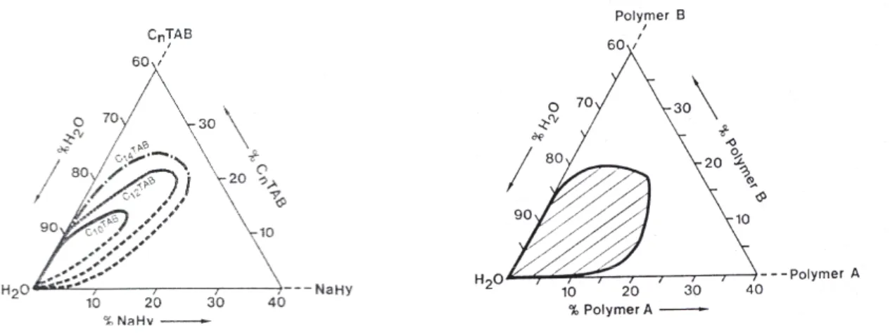 Figure I-30 : Diagramme de phase polyélectrolyte – tensioactif de charge opposée : a-expérimental pour 
