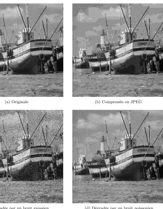 Figure 1.1: (a) Image originale, (b) image compressée en JPEG (5%), (c) image dégradée par un bruit gaussien (σ = 20) et (d) image dégradée par un bruit poissonien.