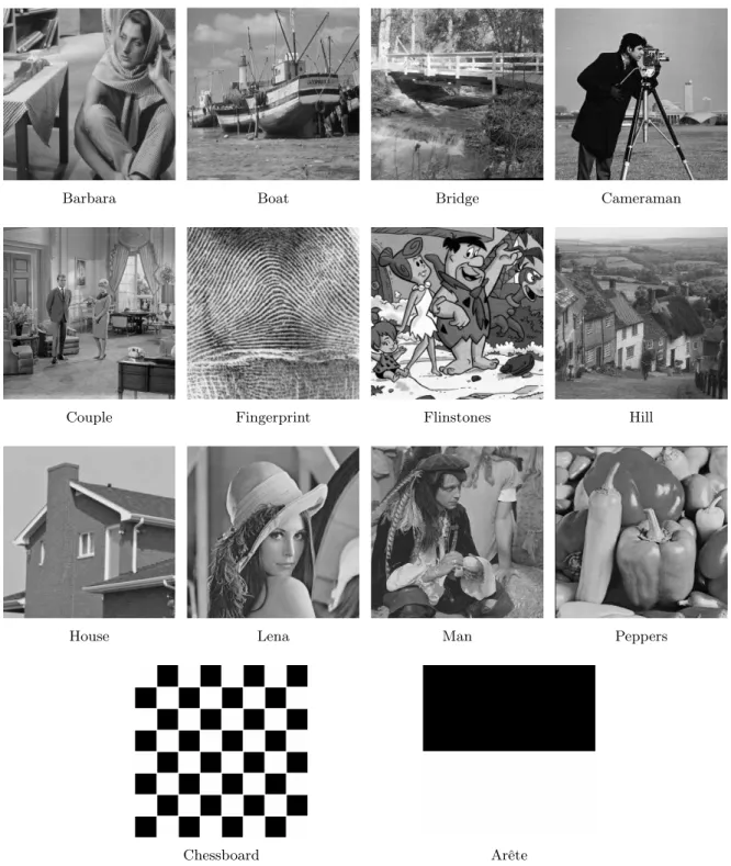 Figure 1.2: La collection des images (en niveau de gris) utilisées dans cette thèse.
