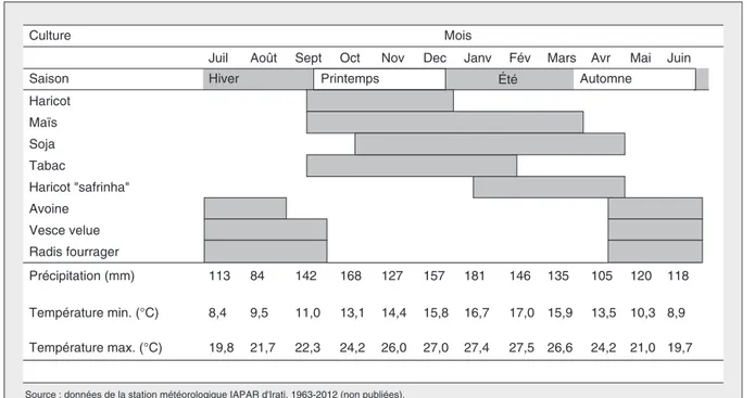 Figure 1. Calendrier des cultures, précipitations et températures mensuelles dans la région d'Irati (Brésil)