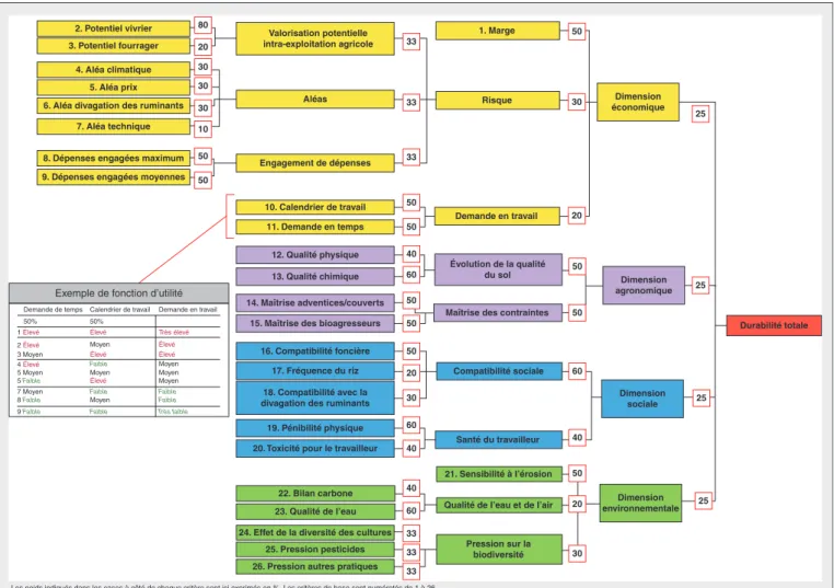 Figure 1. Arbre de durabilité de MASC-Mada.