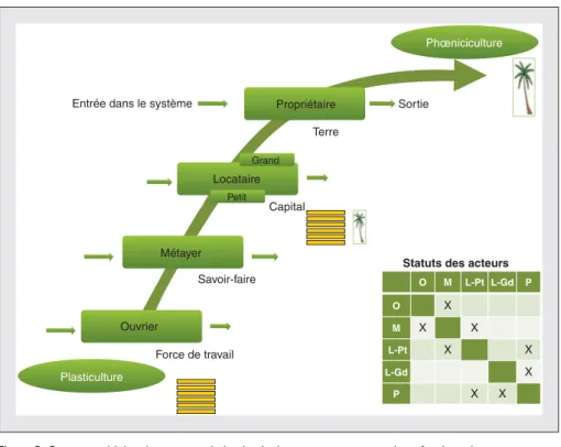 Figure 2. Statuts multiples des acteurs de la plasticulture et ascenseur socioprofessionnel.