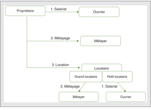 Figure 3. Contrats agraires entre les acteurs de la plasticulture.