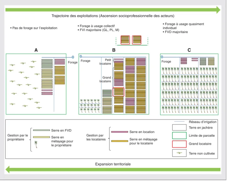 Figure 4. Processus de mutations des exploitations agricoles expliquant l'expansion territoriale des oasis.