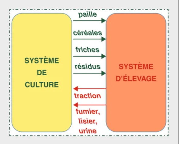 figure 1 , les flux de matie`re sont sche´matise´s par des fle`ches. Bonaudo et al. (2014) ont propose´ une  repre´-sentation dans laquelle la taille variable des fle`ches permet de repre´senter l’intensite´ de l’inte´gration entre e´levage et cultures, no