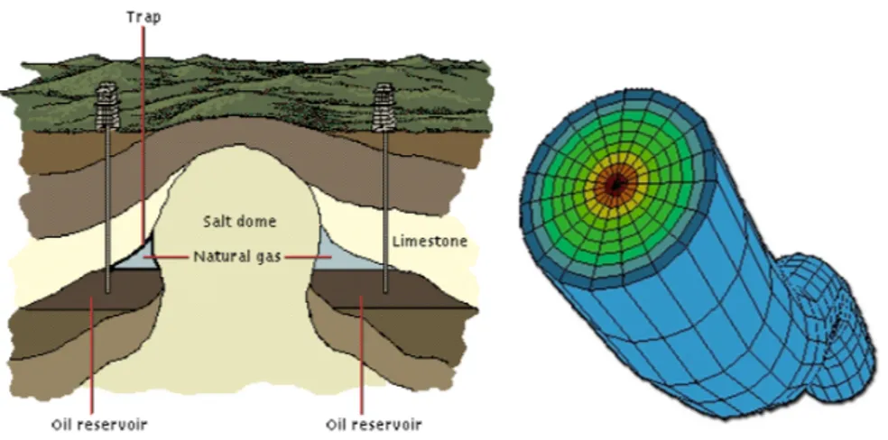 Figure 1: Example of oil reservoir and mesh of complex well