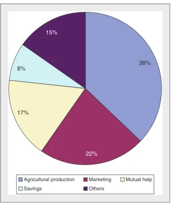 Figure 3. Principales cultures génératrices de revenus vendues par les agriculteurs.