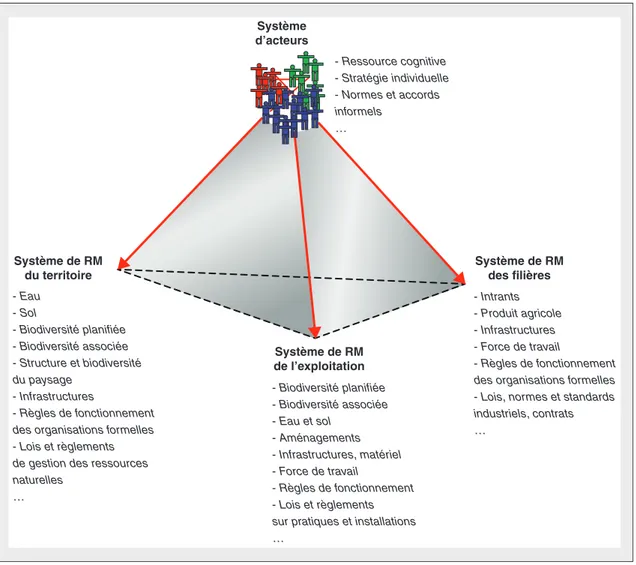 Figure 1. Représentation de l'agriculture locale comme un système d'acteurs mobilisant des technologies pour gérer trois types de ressources matérielles