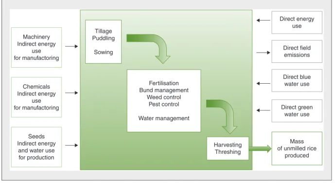 table 1 . The inventory comprises the following processes and operations: - field operations with machinery; - field operations performed manually; - inputs and agro-chemical use; - yields and market price at the farm gate;