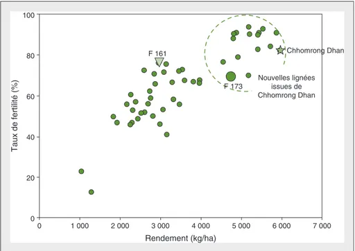 Figure 5. Rendement et taux de fertilité des meilleures lignées en collection testées pendant la campagne 2010-2011 à Andranomanelatra (1 650 m d'altitude).