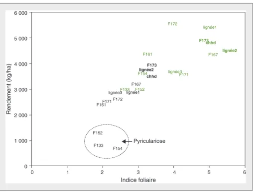Figure 6. Relation entre l'indice foliaire mesuré en phase de maturation et le rendement pour un échantillon de variétés évaluées au cours de la campagne 2011-2012 à faible et forte fertilisation