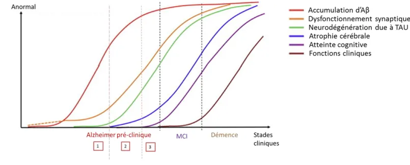 Figure 2 : Modélisation de la dynamique des biomarqueurs de la maladie d’Alzheimer avec l’évolution clinique  de la pathologie