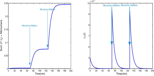 Figure 3. Simulation of the first three additions of monomers with solute-dilution in the second and third ones.