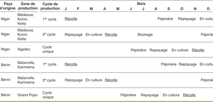 Tableau 1. Cycles de production de l'oignon au Niger et au Bénin.