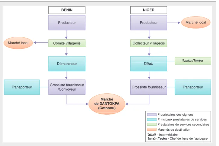 Figure 2. Les acteurs de la commercialisation de l'oignon nigérien et béninois. Figure 2