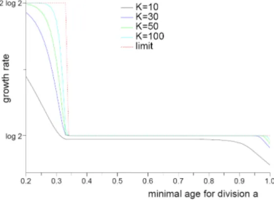 Figure 2.6: Convergence for τ = 2/3