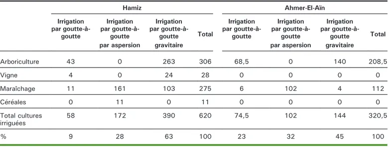 Table 3. Distribution of irrigated area according to perimeter, irrigation technique, and crops grown (hectares).