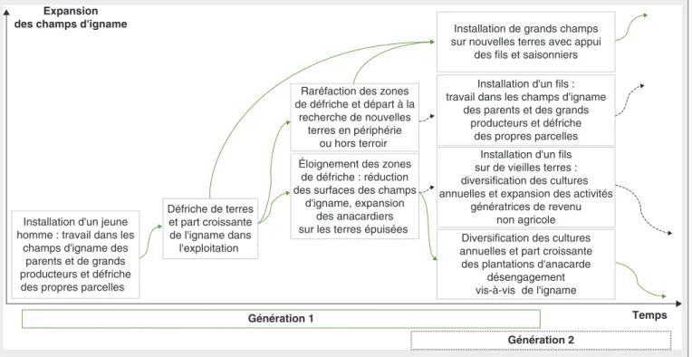 Figure 5. Évolution de la production d'igname des cultivateurs sur deux générations. Figure 5