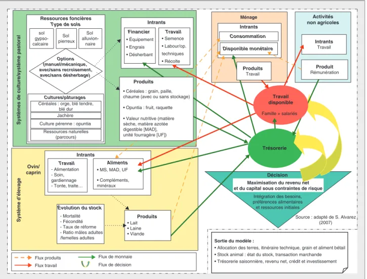 Figure 2. Présentation schématique des principales activités et relations entre activités représentées dans le modèle de programmation mathématique positive pour la communauté de Sidi Fredj.