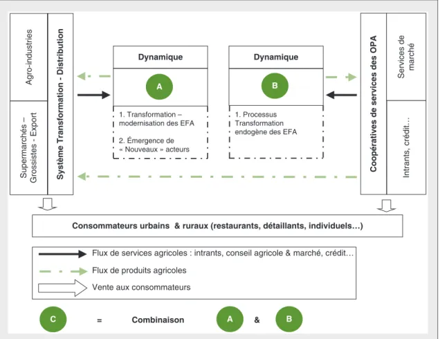 Figure 1. Schémas d'évolution vers les modèles souhaités. Figure 1. Scenarios of evolution towards the desired models.